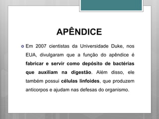 APÊNDICE
 Em 2007 cientistas da Universidade Duke, nos
EUA, divulgaram que a função do apêndice é
fabricar e servir como depósito de bactérias
que auxiliam na digestão. Além disso, ele
também possui células linfoides, que produzem
anticorpos e ajudam nas defesas do organismo.
 