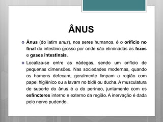 ÂNUS
 Ânus (do latim anus), nos seres humanos, é o orifício no
final do intestino grosso por onde são eliminadas as fezes
e gases intestinais.
 Localiza-se entre as nádegas, sendo um orifício de
pequenas dimensões. Nas sociedades modernas, quando
os homens defecam, geralmente limpam a região com
papel higiênico ou a lavam no bidê ou ducha.A musculatura
de suporte do ânus é a do períneo, juntamente com os
esfíncteres interno e externo da região.A inervação é dada
pelo nervo pudendo.
 
