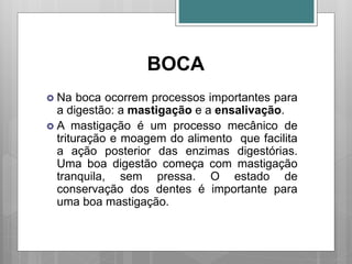 BOCA
 Na boca ocorrem processos importantes para
a digestão: a mastigação e a ensalivação.
 A mastigação é um processo mecânico de
trituração e moagem do alimento que facilita
a ação posterior das enzimas digestórias.
Uma boa digestão começa com mastigação
tranquila, sem pressa. O estado de
conservação dos dentes é importante para
uma boa mastigação.
 