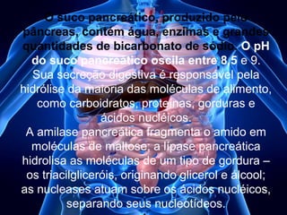 O suco pancreático, produzido pelo
pâncreas, contém água, enzimas e grandes
quantidades de bicarbonato de sódio. O pH
do suco pancreático oscila entre 8,5 e 9.
Sua secreção digestiva é responsável pela
hidrólise da maioria das moléculas de alimento,
como carboidratos, proteínas, gorduras e
ácidos nucléicos.
A amilase pancreática fragmenta o amido em
moléculas de maltose; a lípase pancreática
hidrolisa as moléculas de um tipo de gordura –
os triacilgliceróis, originando glicerol e álcool;
as nucleases atuam sobre os ácidos nucléicos,
separando seus nucleotídeos.

 