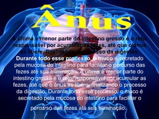 A última e menor parte do intestino grosso é o reto,
responsável por acumular as fezes, até que o ânus
as libere, finalizando o processo da digestão.
Durante todo esse processo, o muco é secretado
pela mucosa do intestino para facilitar o percurso das
fezes até sua eliminação. A última e menor parte do
intestino grosso é o reto, responsável por acumular as
fezes, até que o ânus as libere, finalizando o processo
da digestão. Durante todo esse processo, o muco é
secretado pela mucosa do intestino para facilitar o
percurso das fezes até sua eliminação.

 