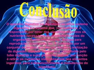O aparelho digestivo ou digestório ou ainda sistema
digestório é o sistema que, nos humanos, é
responsável por obter dos alimentos ingeridos os
nutrientes necessários às diferentes funções do
organismo, como crescimento, energia para
reprodução, locomoção, etc. É composto por um
conjunto de órgãos que têm por função a realização
da digestão. Sistema Digestório é constituído pelo
tubo digestivo e suas glândulas anexas, sua função
é retirar os nutrientes indispensáveis dos alimentos
ingeridos, para o desenvolvimento e manutenção do
organismo.

 