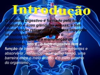 • O Sistema Digestivo é formado pelo tubo
digestivo e suas glândulas anexas, e tem
como função retirar dos alimentos ingeridos
os nutriente necessários para o
desenvolvimento e a manutenção do
organismo. Isto é , o tubo digestivo tem a
função de transformar alimento em nutrientes e
absorvê-lo ,mantendo , ao mesmo tempo, uma
barreira entre o meio interno e o meio externo
do organismo .

 