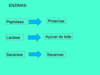 ENZIMAS:



Peptidase    Proteínas



Lactase     Açúcar do leite



Sacarase    Sacarose
 