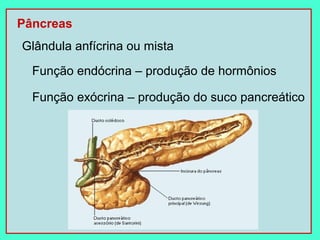 Pâncreas
Glândula anfícrina ou mista
  Função endócrina – produção de hormônios

  Função exócrina – produção do suco pancreático
 