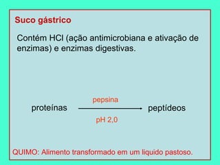 Suco gástrico

 Contém HCl (ação antimicrobiana e ativação de
 enzimas) e enzimas digestivas.




                      pepsina
     proteínas                        peptídeos
                       pH 2,0



QUIMO: Alimento transformado em um liquido pastoso.
 