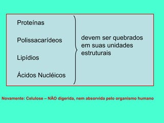 Proteínas

       Polissacarídeos               devem ser quebrados
                                     em suas unidades
                                     estruturais
       Lipídios

       Ácidos Nucléicos


Novamente: Celulose – NÃO digerida, nem absorvida pelo organismo humano
 