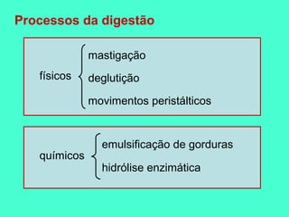 Processos da digestão

              mastigação
   físicos    deglutição

              movimentos peristálticos


                emulsificação de gorduras
   químicos
                hidrólise enzimática
 