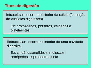 Tipos de digestão

Intracelular : ocorre no interior da célula (formação
de vacúolos digestivos).

   Ex: protozoários, poríferos, cnidários e
   platelmintes


 Extracelular : ocorre no interior de uma cavidade
 digestiva.
   Ex: cnidários,anelídeos, moluscos,
   artrópodas, equinodermas,etc
 