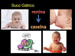 Suco Gátricoreninacaseína