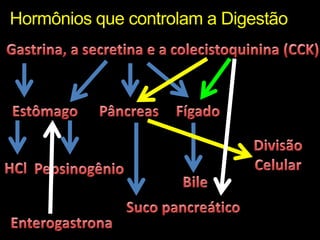 Hormônios que controlam a DigestãoGastrina, a secretina e a colecistoquinina (CCK)EstômagoPâncreasFígadoDivisãoCelularHClPepsinogênioBileSuco pancreáticoEnterogastrona