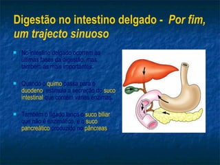 Digestão no intestino delgado -  Por fim, um trajecto sinuoso No intestino delgado ocorrem as últimas fases da digestão, mas também as mais importantes. Quando o  quimo  passa para o  duodeno , estimula a secreção do  suco intestinal  que contém várias enzimas. Também o fígado lança o  suco biliar , que não é enzimático, e o  suco pancreático  produzido no  pâncreas . 