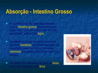 Absorção - Intestino Grosso As substâncias não digeridas passam para o  intestino grosso  misturadas com água. Aqui ocorrerá a absorção da maior quantidade possível de  água . No intestino grosso podemos encontrar algumas  bactérias  que desempenham um importante papel no fabrico de certas  vitaminas  que depois são absorvidas pelo sangue. Os restos dos alimentos formam as  fezes  que serão expulsas pelo  ânus . 