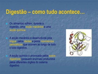 Digestão – como tudo acontece…
 Os alimentos sofrem, durante a
digestão, uma acção mecânica e uma
acção química.
 A acção mecânica é desenvolvida pela
língua, pelos dentes e pelos movimentos
peristálticos que ocorrem ao longo de todo
o tubo digestivo.
 A acção química é provocada pelos sucos
digestivos (possuem enzimas) produzidos
pelos diferentes órgãos do sistema
digestivo
 