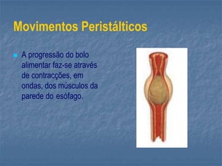 Movimentos Peristálticos
 A progressão do bolo
alimentar faz-se através
de contracções, em
ondas, dos músculos da
parede do esófago.
 