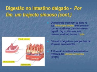 Digestão no intestino delgado - Por
fim, um trajecto sinuoso (cont.)
 Os nutrientes encontram-se agora na
sua forma mais simples e em conjunto
com as substâncias que não sofreram
digestão (água, vitaminas, sais
minerais, celulose) formam o quilo.
 O intestino delgado é a principal área de
absorção dos nutrientes.
 A absorção é muito eficiente devido à
presença das válvulas coniventes
(pregas)
 