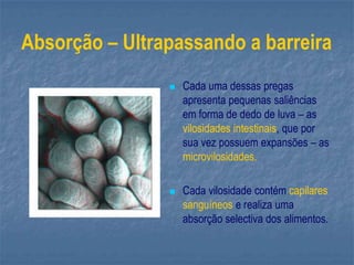 Absorção – Ultrapassando a barreira
 Cada uma dessas pregas
apresenta pequenas saliências
em forma de dedo de luva – as
vilosidades intestinais, que por
sua vez possuem expansões – as
microvilosidades.
 Cada vilosidade contém capilares
sanguíneos e realiza uma
absorção selectiva dos alimentos.
 