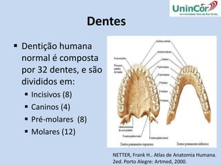 defecaçãohttp://marquizaelmarques.blogspot.com/2010/10/sistema-digestivo.html