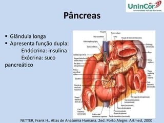 DigestãoO que é? Onde ocorre?http://taggarela.com/sweatshops-imagenes-cabellotracto-digestivo/