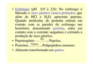 • Estômago (pH 0,9 à 2,0): No estômago é
liberado o suco gástrico (muco-proteção), que
além de HCl e H2O, apresenta pepsina.
Quando moléculas de proteína entram em
contato com as paredes do estômago um
hormônio, denominado gastrina, entra em
contato com a corrente sanguínea e estimula acontato com a corrente sanguínea e estimula a
produção de suco gástrico.
• Pepsinogênio Pepsina.
• Proteínas Polipeptídeos menores
• Alimento transformado em quimo.
HCl
Pepsina
 