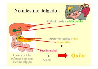 No intestino delgado…
O fígado produz a bílis ou bile
+
O quimo sai do
estômago e entra no
intestino delgado
O pâncreas segrega o suco
pancreático
+
Suco intestinal
+
Quimo
Quilo
 