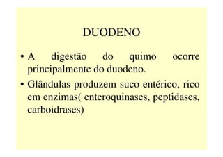 DUODENO
• A digestão do quimo ocorre
principalmente do duodeno.
• Glândulas produzem suco entérico, rico• Glândulas produzem suco entérico, rico
em enzimas( enteroquinases, peptidases,
carboidrases)
 