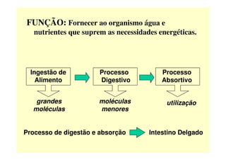 FUNÇÃO: Fornecer ao organismo água e
nutrientes que suprem as necessidades energéticas.
Processo
Absortivo
Ingestão de
Alimento
Processo
Digestivo
Processo de digestão e absorção Intestino Delgado
Absortivo
utilização
Alimento
grandes
moléculas
Digestivo
moléculas
menores
 
