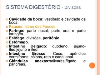SISTEMA DIGESTÓRIO - DIVISÕES

 Cavidade   da boca: vestíbulo e cavidade da
  boca.
 Fauces. Istmo das Fauces.
 Faringe: parte nasal, parte oral e parte
  laríngea.
 Esôfago, divisões, peritônio.
 Estômago.
 Intestino     Delgado: duodeno, jejuno-
  íleo:jejuno e íleo.
 Intestino      Grosso:    Ceco,      apêndice
  vermiforme, cólons, reto e canal anal.
 Glândulas        anexas:salivares,fígado    e
  pâncreas.
 