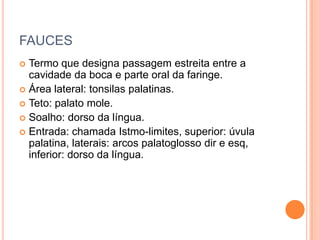 FAUCES
 Termo que designa passagem estreita entre a
  cavidade da boca e parte oral da faringe.
 Área lateral: tonsilas palatinas.
 Teto: palato mole.
 Soalho: dorso da língua.
 Entrada: chamada Istmo-limites, superior: úvula
  palatina, laterais: arcos palatoglosso dir e esq,
  inferior: dorso da língua.
 