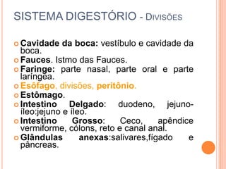 SISTEMA DIGESTÓRIO - DIVISÕES

 Cavidade   da boca: vestíbulo e cavidade da
  boca.
 Fauces. Istmo das Fauces.
 Faringe: parte nasal, parte oral e parte
  laríngea.
 Esôfago, divisões, peritônio.
 Estômago.
 Intestino     Delgado: duodeno, jejuno-
  íleo:jejuno e íleo.
 Intestino      Grosso:    Ceco,      apêndice
  vermiforme, cólons, reto e canal anal.
 Glândulas        anexas:salivares,fígado    e
  pâncreas.
 