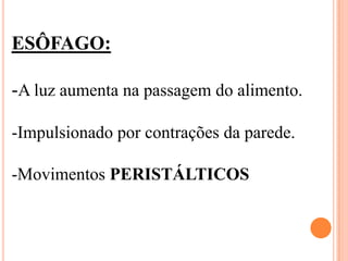 ESÔFAGO:

-A luz aumenta na passagem do alimento.

-Impulsionado por contrações da parede.

-Movimentos PERISTÁLTICOS
 