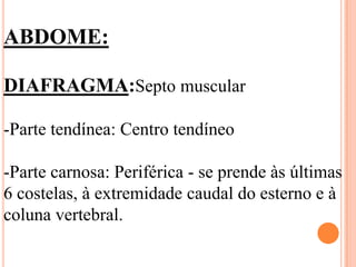 ABDOME:

DIAFRAGMA:Septo muscular

-Parte tendínea: Centro tendíneo

-Parte carnosa: Periférica - se prende às últimas
6 costelas, à extremidade caudal do esterno e à
coluna vertebral.
 