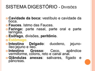 SISTEMA DIGESTÓRIO - DIVISÕES

 Cavidade   da boca: vestíbulo e cavidade da
  boca.
 Fauces. Istmo das Fauces.
 Faringe: parte nasal, parte oral e parte
  laríngea.
 Esôfago, divisões, peritônio.
 Estômago.
 Intestino     Delgado: duodeno, jejuno-
  íleo:jejuno e íleo.
 Intestino      Grosso:    Ceco,    apêndice
  vermiforme, cólons, reto e canal anal.
 Glândulas anexas: salivares, fígado e
  pâncreas.
 