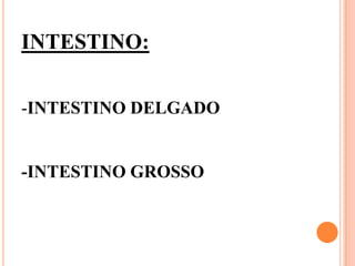 INTESTINO:

-INTESTINO DELGADO


-INTESTINO GROSSO
 