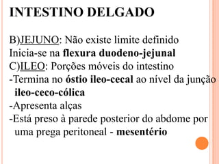 INTESTINO DELGADO

B)JEJUNO: Não existe limite definido
Inicia-se na flexura duodeno-jejunal
C)ILEO: Porções móveis do intestino
-Termina no óstio ileo-cecal ao nível da junção
 ileo-ceco-cólica
-Apresenta alças
-Está preso à parede posterior do abdome por
 uma prega peritoneal - mesentério
 