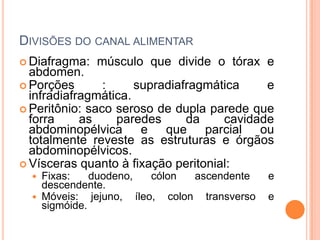 DIVISÕES DO CANAL ALIMENTAR
 Diafragma:   músculo que divide o tórax e
  abdomen.
 Porções       :     supradiafragmática    e
  infradiafragmática.
 Peritônio: saco seroso de dupla parede que
  forra     as    paredes      da    cavidade
  abdominopélvica e que parcial ou
  totalmente reveste as estruturas e órgãos
  abdominopélvicos.
 Vísceras quanto à fixação peritonial:
     Fixas:    duodeno,  cólon  ascendente    e
      descendente.
     Móveis: jejuno, íleo, colon transverso   e
      sigmóide.
 
