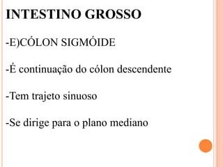 INTESTINO GROSSO

-E)CÓLON SIGMÓIDE

-É continuação do cólon descendente

-Tem trajeto sinuoso

-Se dirige para o plano mediano
 