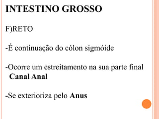 INTESTINO GROSSO

F)RETO

-É continuação do cólon sigmóide

-Ocorre um estreitamento na sua parte final
 Canal Anal

-Se exterioriza pelo Anus
 