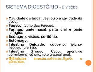 SISTEMA DIGESTÓRIO - DIVISÕES

 Cavidade   da boca: vestíbulo e cavidade da
  boca.
 Fauces. Istmo das Fauces.
 Faringe: parte nasal, parte oral e parte
  laríngea.
 Esôfago, divisões, peritônio.
 Estômago.
 Intestino     Delgado: duodeno, jejuno-
  íleo:jejuno e íleo.
 Intestino      Grosso:    Ceco,      apêndice
  vermiforme, cólons, reto e canal anal.
 Glândulas        anexas:salivares,fígado    e
  pâncreas.
 