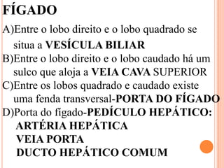 FÍGADO
A)Entre o lobo direito e o lobo quadrado se
  situa a VESÍCULA BILIAR
B)Entre o lobo direito e o lobo caudado há um
  sulco que aloja a VEIA CAVA SUPERIOR
C)Entre os lobos quadrado e caudado existe
  uma fenda transversal-PORTA DO FÍGADO
D)Porta do fígado-PEDÍCULO HEPÁTICO:
  ARTÉRIA HEPÁTICA
   VEIA PORTA
   DUCTO HEPÁTICO COMUM
 