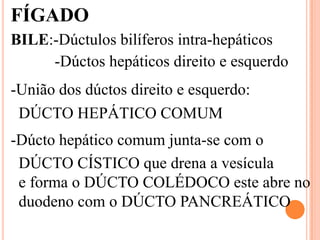 FÍGADO
BILE:-Dúctulos bilíferos intra-hepáticos
     -Dúctos hepáticos direito e esquerdo
-União dos dúctos direito e esquerdo:
 DÚCTO HEPÁTICO COMUM
-Dúcto hepático comum junta-se com o
 DÚCTO CÍSTICO que drena a vesícula
 e forma o DÚCTO COLÉDOCO este abre no
 duodeno com o DÚCTO PANCREÁTICO
 