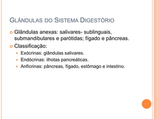 GLÂNDULAS DO SISTEMA DIGESTÓRIO
 Glândulas anexas: salivares- sublinguais,
  submandibulares e parótidas; fígado e pâncreas.
 Classificação:
     Exócrinas: glândulas salivares.
     Endócrinas: ilhotas pancreáticas.
     Anfícrinas: pâncreas, fígado, estômago e intestino.
 