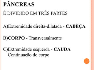PÂNCREAS
É DIVIDIDO EM TRÊS PARTES

A)Extremidade direita-dilatada - CABEÇA

B)CORPO - Transversalmente

C)Extremidade esquerda - CAUDA
  Continuação do corpo
 