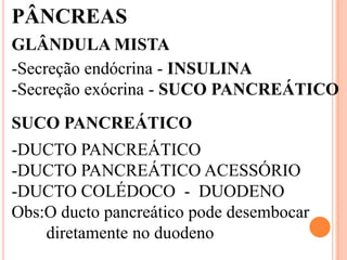 PÂNCREAS
GLÂNDULA MISTA
-Secreção endócrina - INSULINA
-Secreção exócrina - SUCO PANCREÁTICO
SUCO PANCREÁTICO
-DUCTO PANCREÁTICO
-DUCTO PANCREÁTICO ACESSÓRIO
-DUCTO COLÉDOCO - DUODENO
Obs:O ducto pancreático pode desembocar
    diretamente no duodeno
 