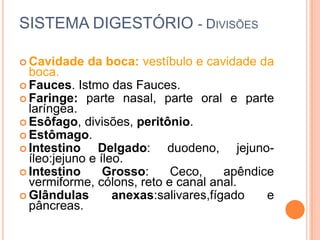 SISTEMA DIGESTÓRIO - DIVISÕES

 Cavidade   da boca: vestíbulo e cavidade da
  boca.
 Fauces. Istmo das Fauces.
 Faringe: parte nasal, parte oral e parte
  laríngea.
 Esôfago, divisões, peritônio.
 Estômago.
 Intestino     Delgado: duodeno, jejuno-
  íleo:jejuno e íleo.
 Intestino      Grosso:    Ceco,      apêndice
  vermiforme, cólons, reto e canal anal.
 Glândulas        anexas:salivares,fígado    e
  pâncreas.
 