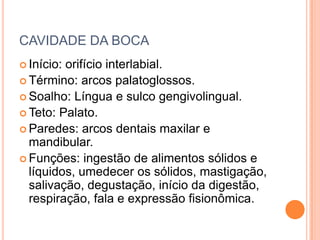 CAVIDADE DA BOCA
 Início:orifício interlabial.
 Término: arcos palatoglossos.
 Soalho: Língua e sulco gengivolingual.
 Teto: Palato.
 Paredes: arcos dentais maxilar e
  mandibular.
 Funções: ingestão de alimentos sólidos e
  líquidos, umedecer os sólidos, mastigação,
  salivação, degustação, início da digestão,
  respiração, fala e expressão fisionômica.
 