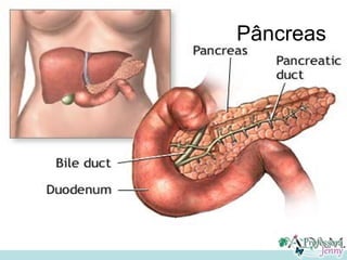 Pâncreas
 