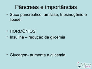Pâncreas e importâncias
• Suco pancreático; amilase, tripsinogênio e
  lipase.

• HORMÔNIOS:
• Insulina – redução da glicemia



• Glucagon- aumenta a glicemia
 