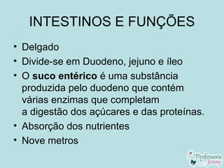 INTESTINOS E FUNÇÕES
• Delgado
• Divide-se em Duodeno, jejuno e íleo
• O suco entérico é uma substância
  produzida pelo duodeno que contém
  várias enzimas que completam
  a digestão dos açúcares e das proteínas.
• Absorção dos nutrientes
• Nove metros
 