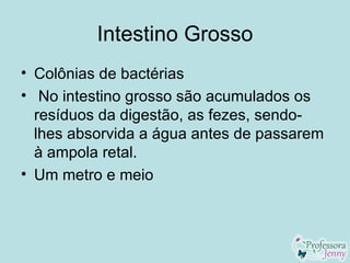 Intestino Grosso
• Colônias de bactérias
• No intestino grosso são acumulados os
  resíduos da digestão, as fezes, sendo-
  lhes absorvida a água antes de passarem
  à ampola retal.
• Um metro e meio
 